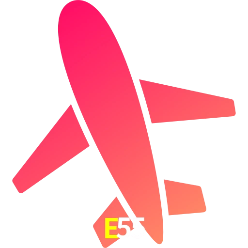 E55