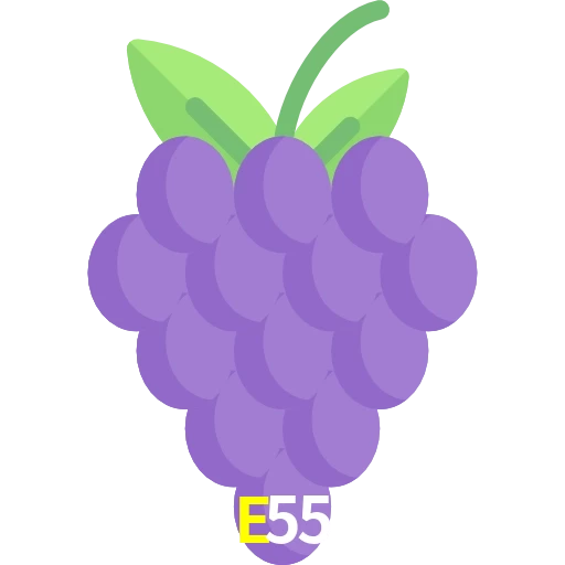 E55